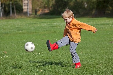 Image 146382704