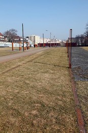 Image 146436134