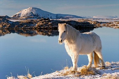 Image 146436354