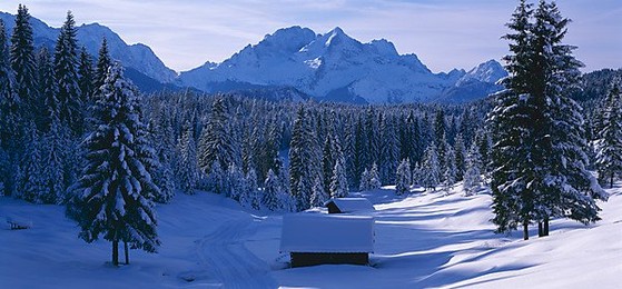 Image 146495402