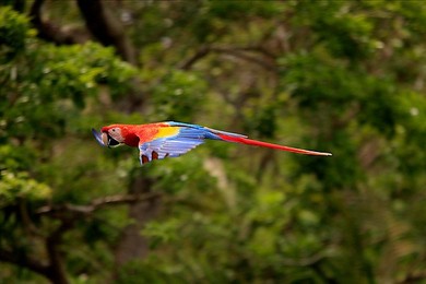 Image 146499341