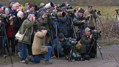Image 146514239