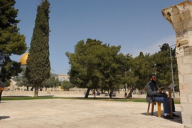 Image 146520009