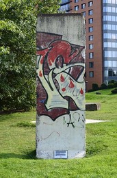 Image 146807957