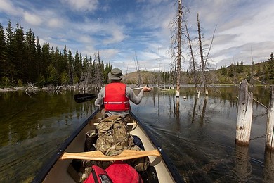 Image 146815980