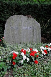 Image 146822003