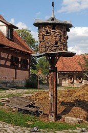 Image 146825016