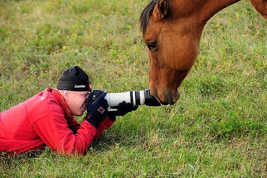 Image 146849796