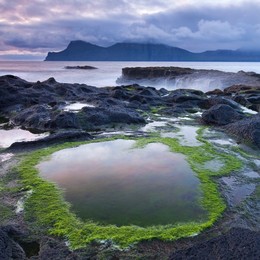 Image 147168762