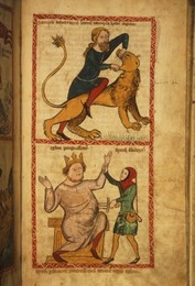 Image 147332319
