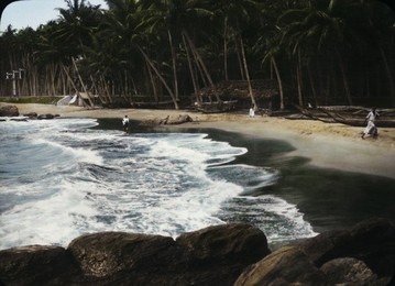 Image 147339431