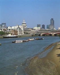 Image 147356692