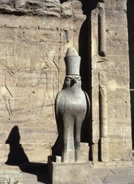 Image 147366144