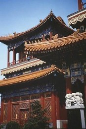 Image 147370697