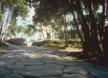 Image 147386229