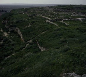 Image 147389078