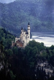 Image 147687019