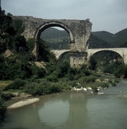 Image 147697306