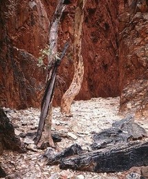 Australia, Landscape