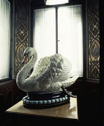 Image 147717381
