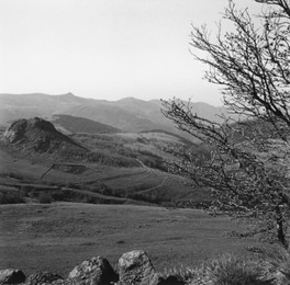 Image 147717988
