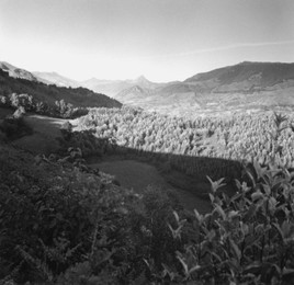 Image 147717991