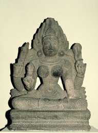Image 147718141