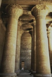 Image 147719143
