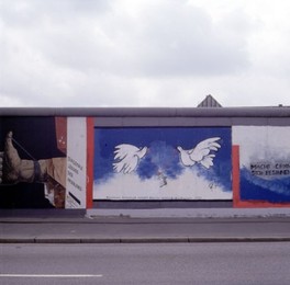 Image 147719854