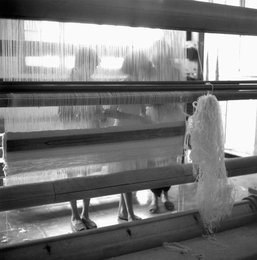 Image 147726675