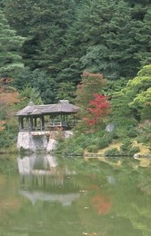 Image 147769896