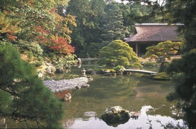 Image 147769916