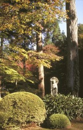 Image 147769917