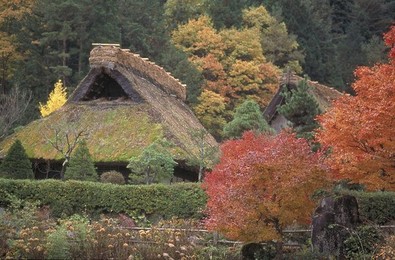 Image 147770353