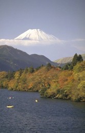 Image 147770427