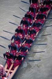 Image 147778185
