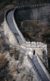 Image 147779001