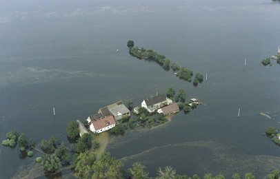Image 147779250