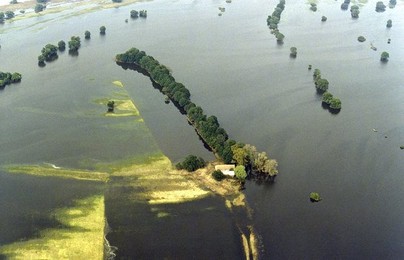 Image 147779554