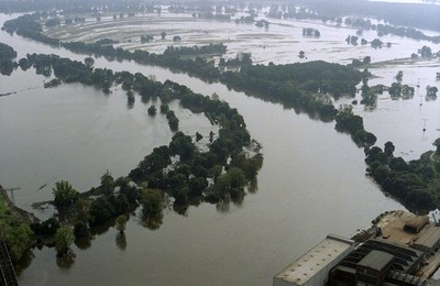 Image 147779561