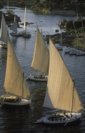 Image 147782441