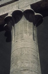 Image 147782463