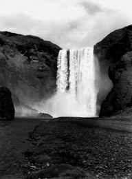 Image 147806937