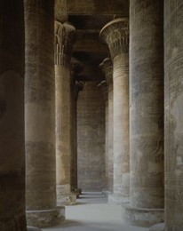 Image 147807644
