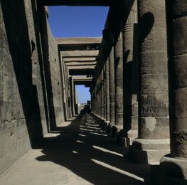 Image 147809991