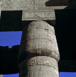 Image 147810004