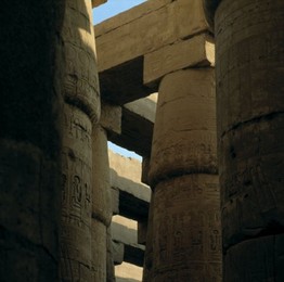 Image 147810011