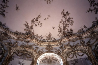 Image 147819723