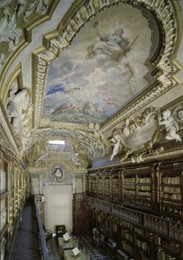 Image 147820572