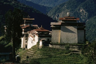 Image 147821642